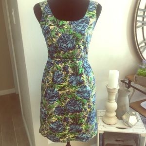 Anthropologie BARASCHI Dress