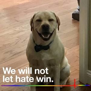 Meet your Posher, Kaley