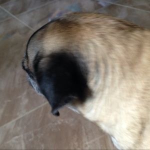 Meet your Posher, Luis