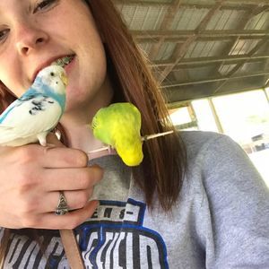 Meet your Posher, Kailey