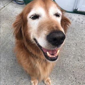 Meet your Posher, Bonnie