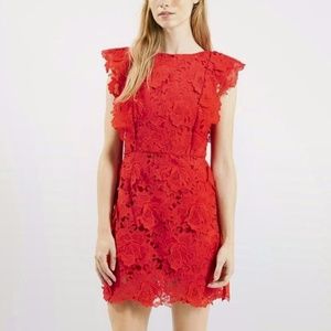 Topshop Floral Lace A-Line Dress