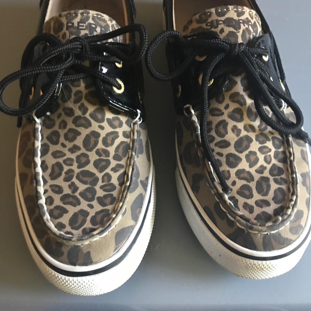 Sperrys cheetah