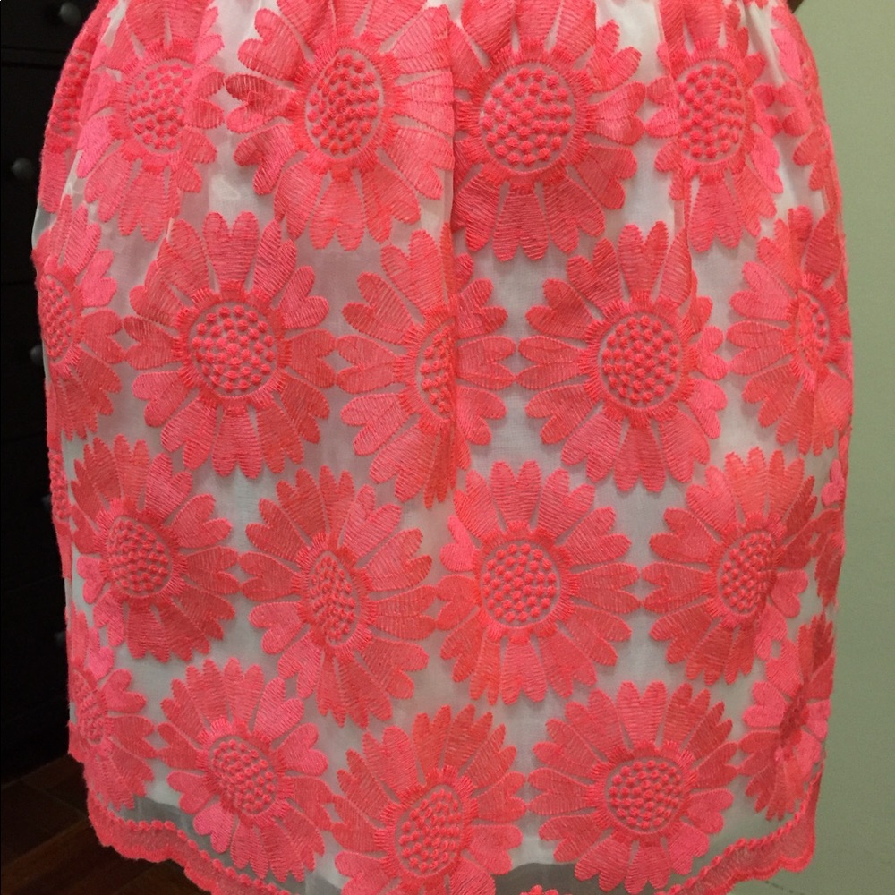 Francesca's Joyce Embroidered Floral Skirt