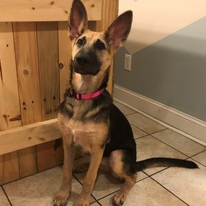 Meet your Posher, Hannah