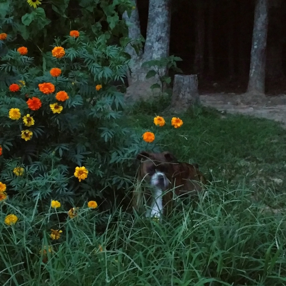 Meet your Posher, Karen