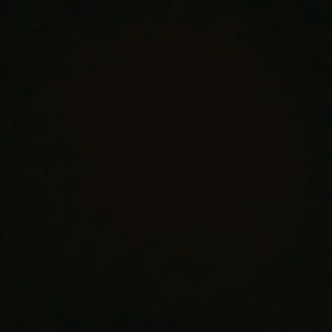 Meet your Posher, Alfonso