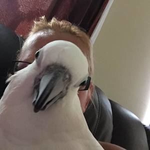 Meet your Posher, Mariana