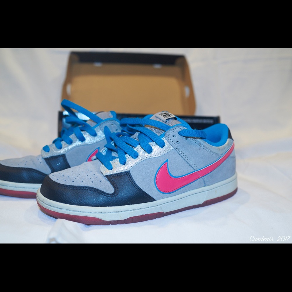 Women's Nike Dunk 6.0