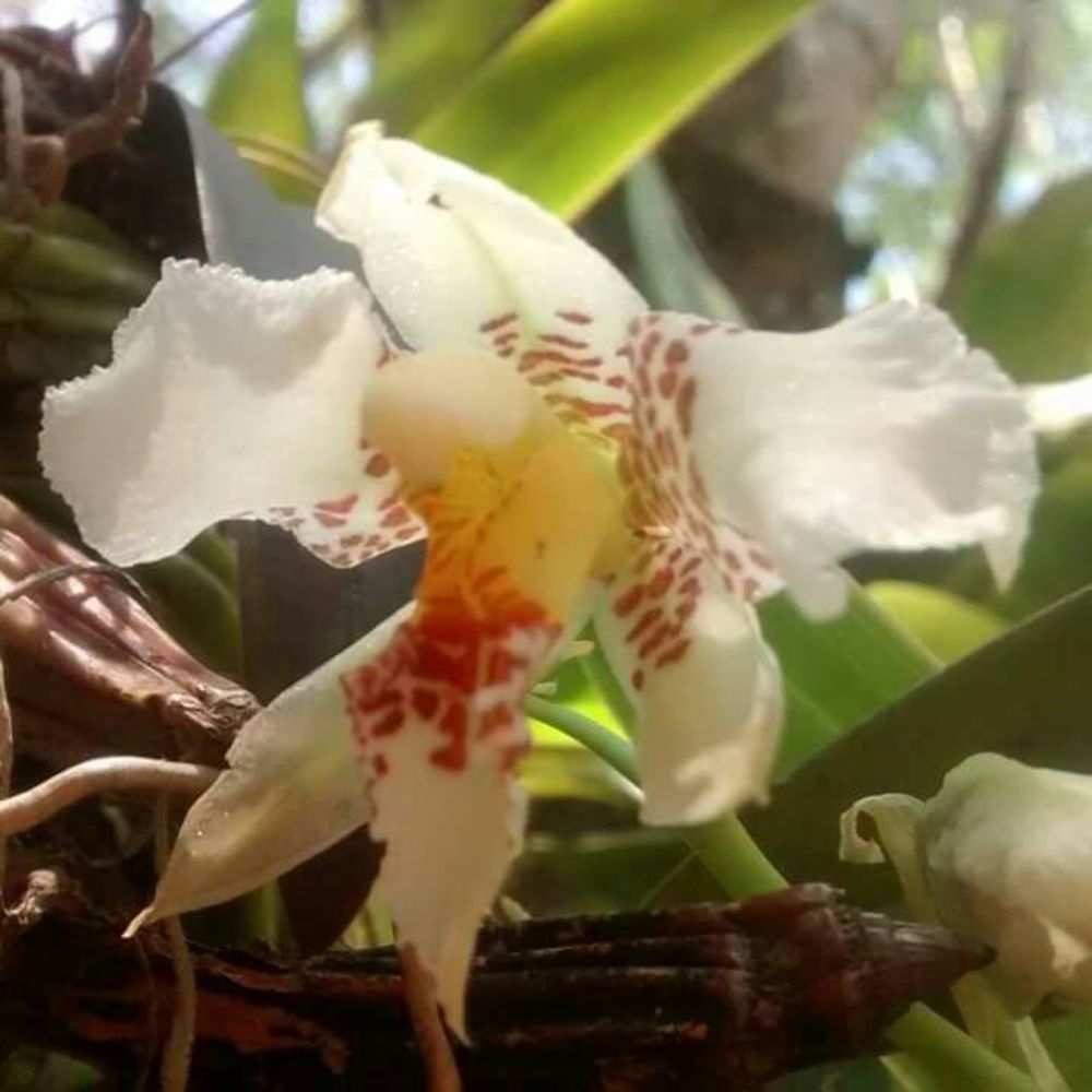 Meet your Posher, Vero