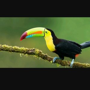 Meet your Posher, Jack