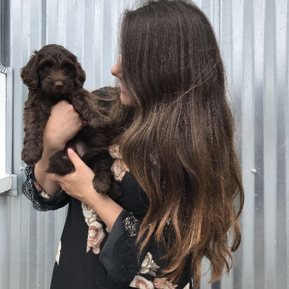 Meet your Posher, Savannah