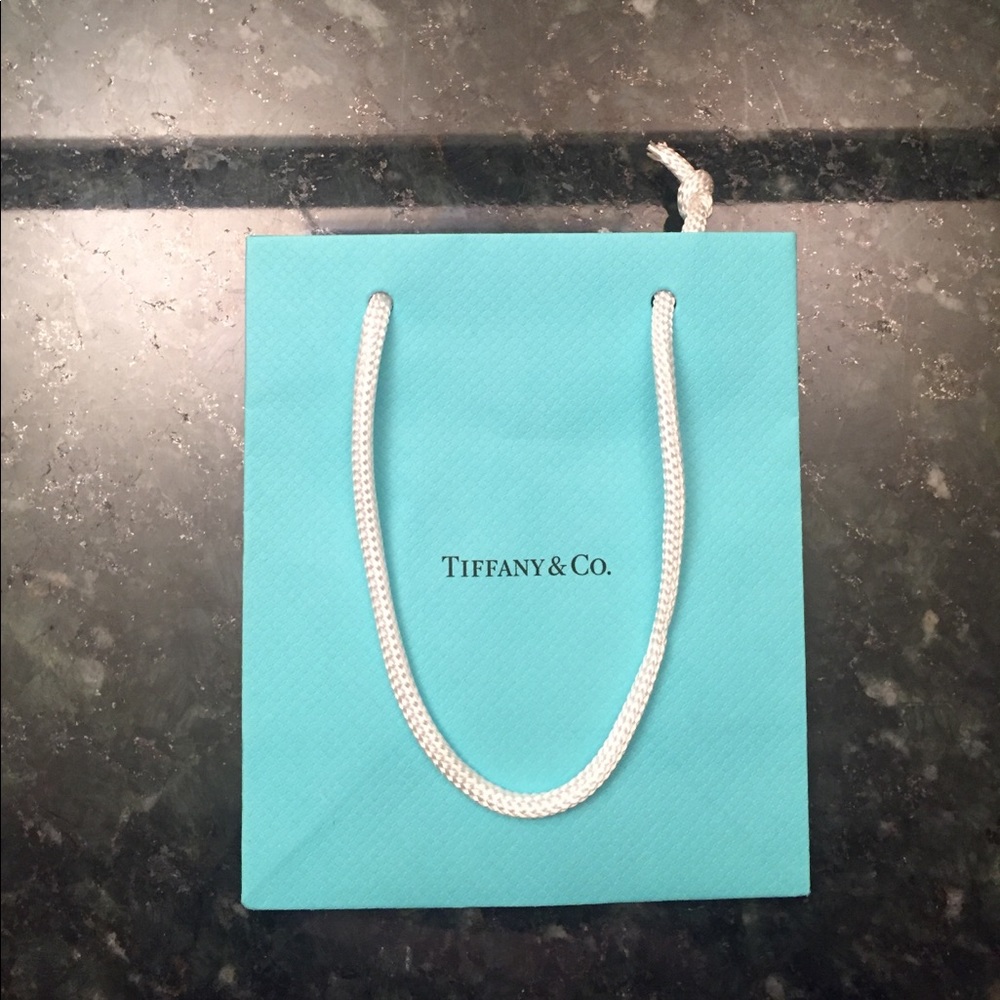 Small Tiffany and co. Bag