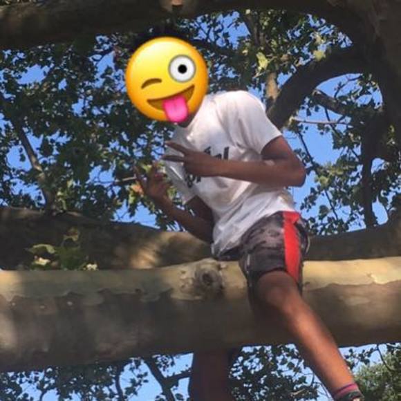 Meet your Posher, Clarence - Picture 1 of 1