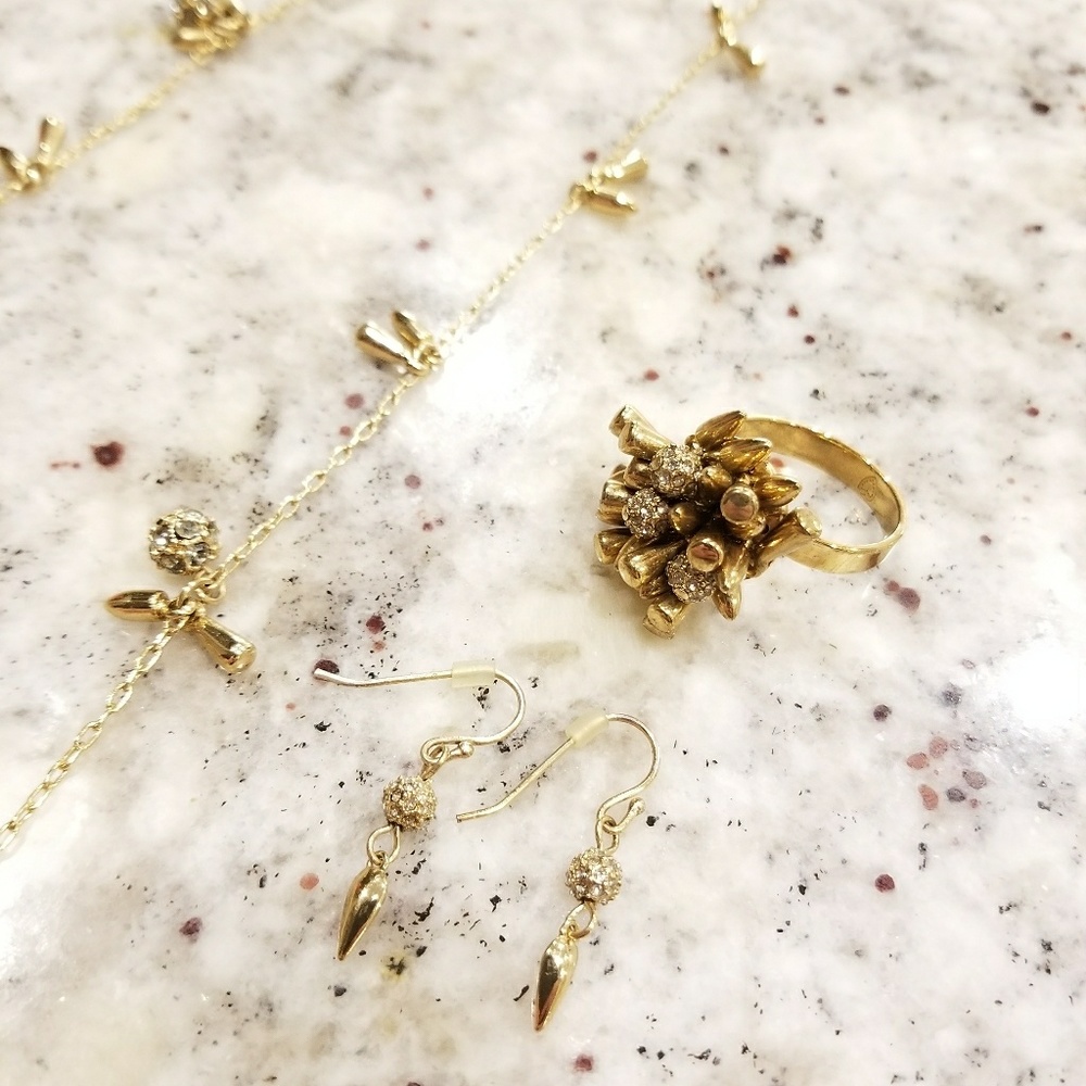 Stella and Dot Renegade Set