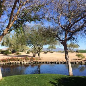 Meet your Posher, Robin