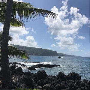 Meet your Posher, Sophia