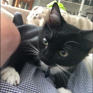 Meet your Posher, Steve