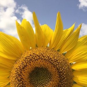 Meet your Posher, Maeve