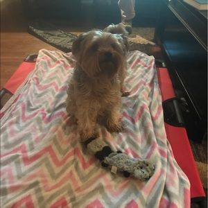 Meet your Posher, Anna