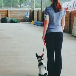 Meet your Posher, Kara