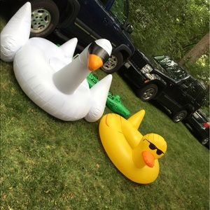 Meet your Posher, Annie