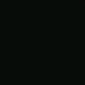 Meet your Posher, Lilian