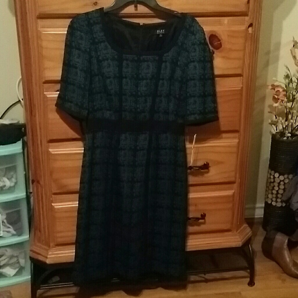 Alex Marie winter dress. NWT.
