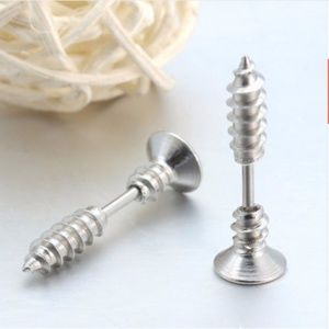 Stainless Steel Screw Ear Studs Earrings