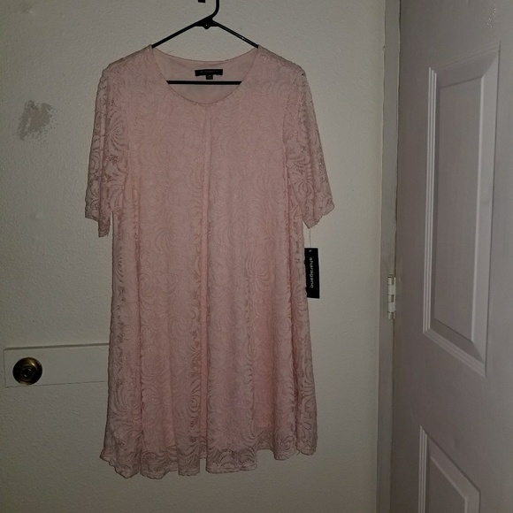 Pale Pink Sharagano Baby Doll Lace Dress - Picture 1 of 3