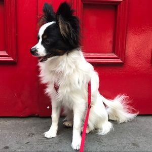 Meet your Posher, Yael