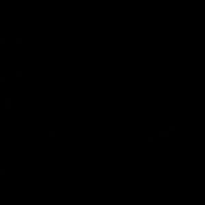 Meet your Posher, Selena