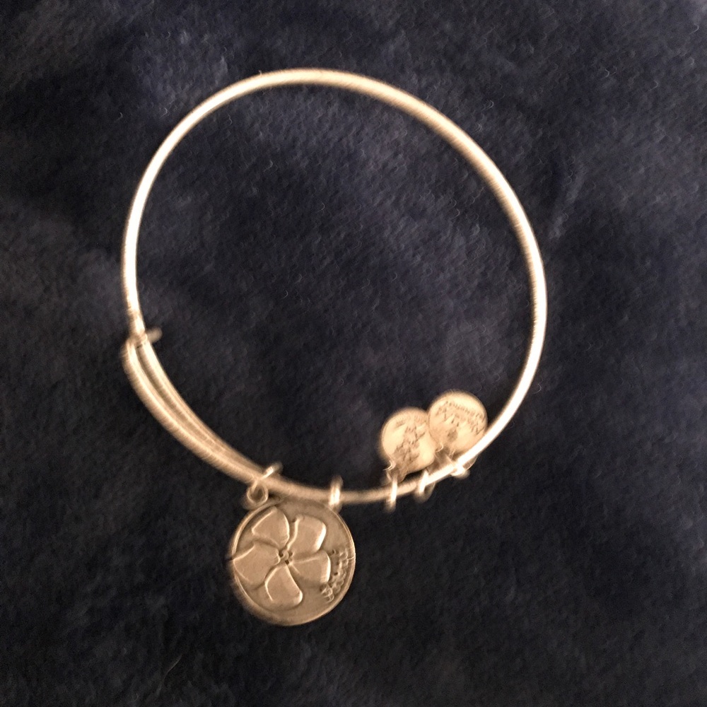 Alex and Ani friend bracelet