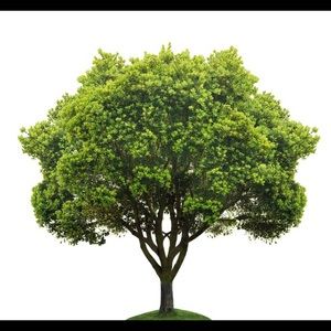 Meet your Posher, Jorge