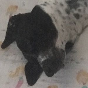 Meet your Posher, Drew