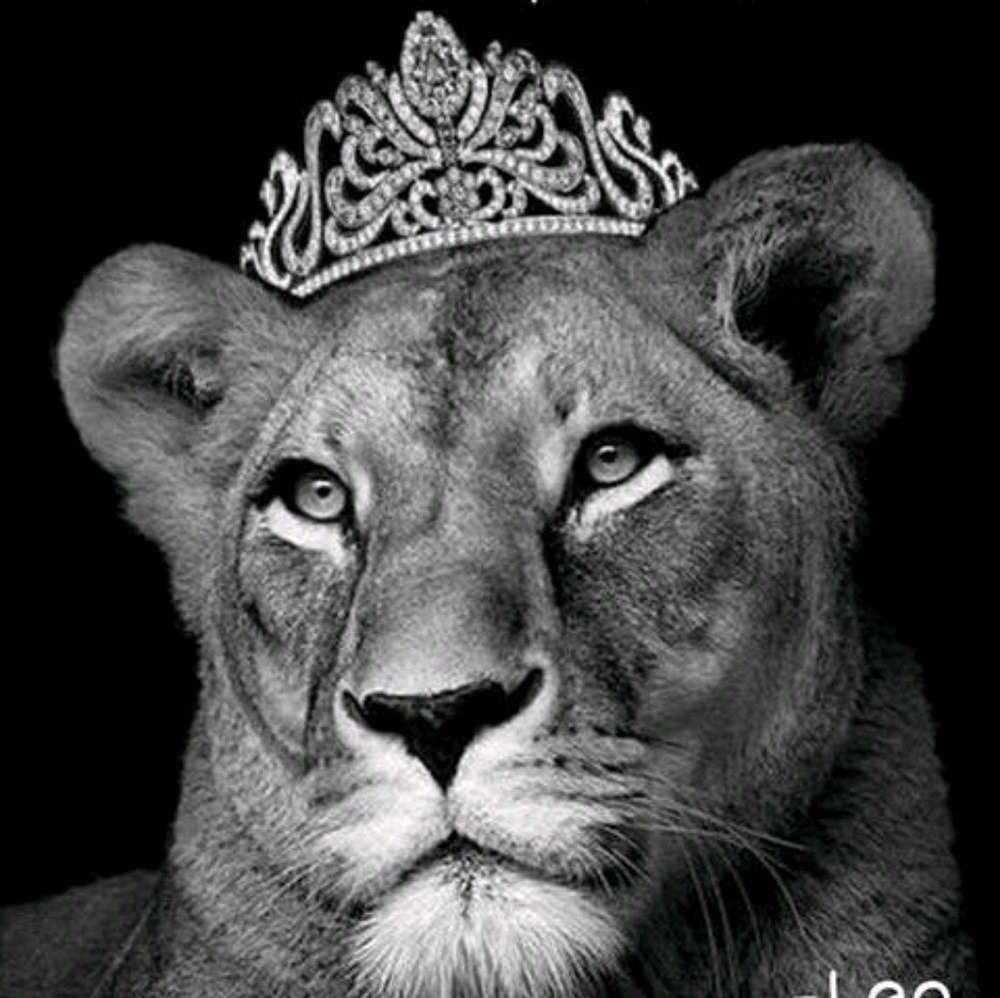 Meet your Posher, Robi