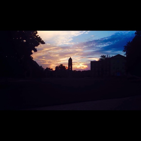 Meet your Posher, Sara - Picture 5 of 8