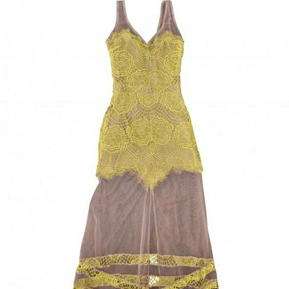 Sheer lace dress