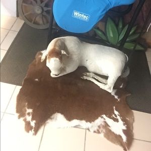 Meet your Posher, Yarlin