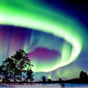 Meet your Posher, Isaac