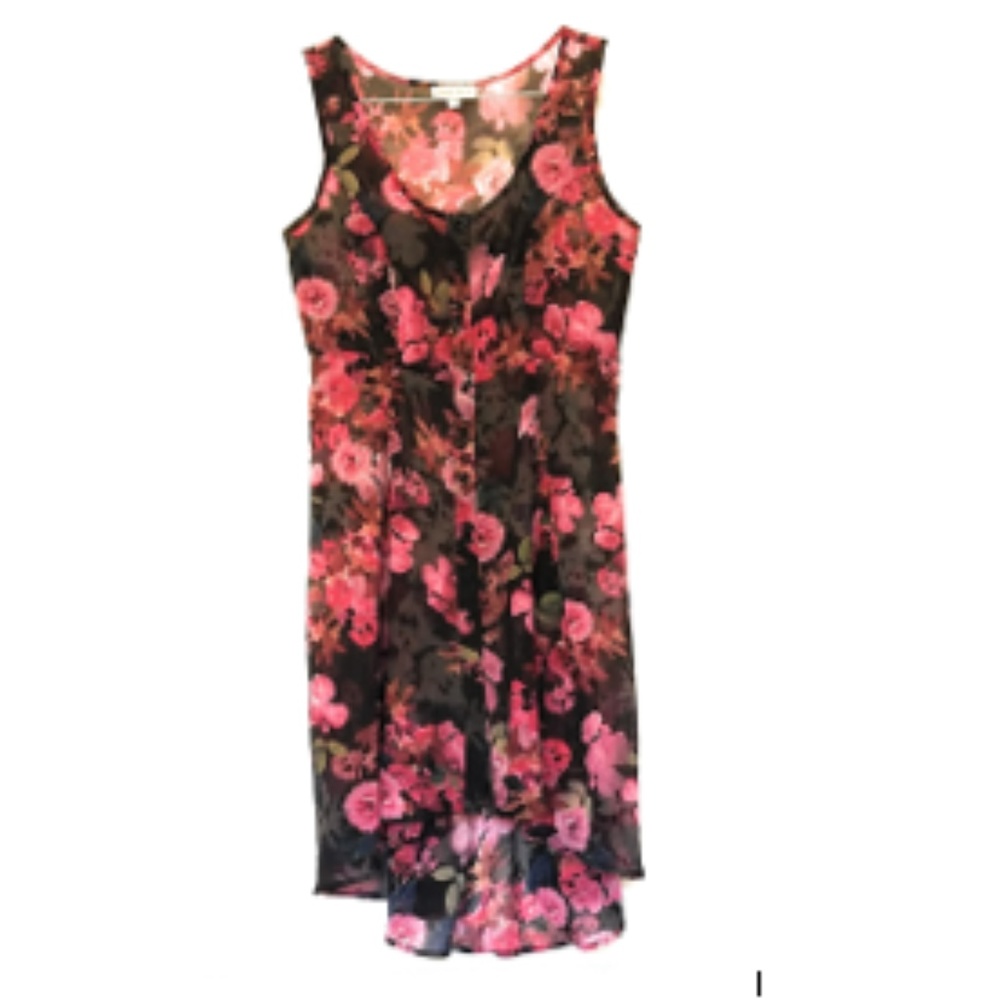 Floral Chiffon Black and Pink Sleeveless Dress Sma