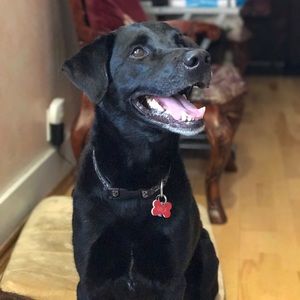Meet your Posher, Ana