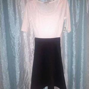 BNWT Charlotte Russe Dress