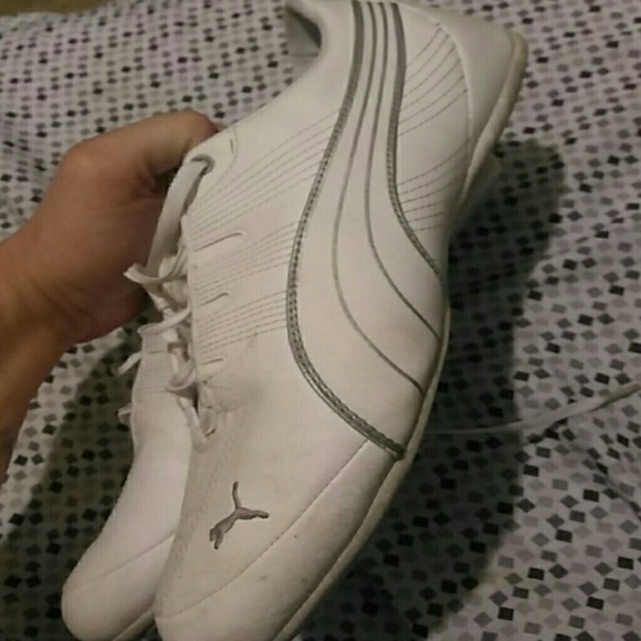 Puma shies - Picture 1 of 3