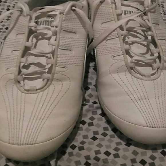 Puma shies - Picture 2 of 3