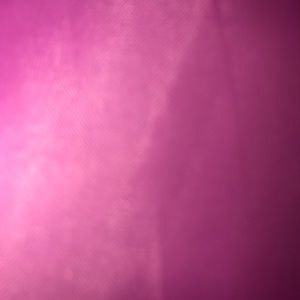 Meet your Posher, Taneka