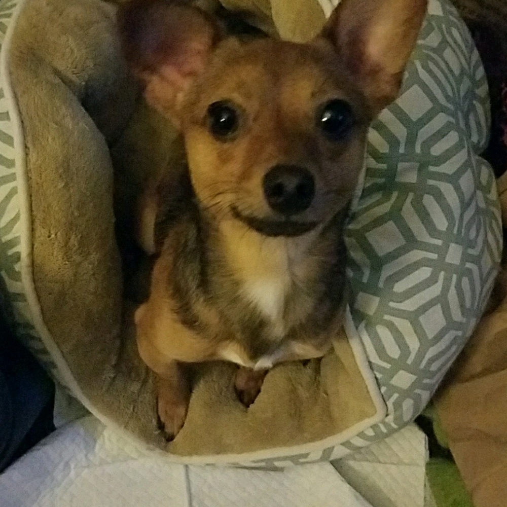 Meet your Posher, Tonyette