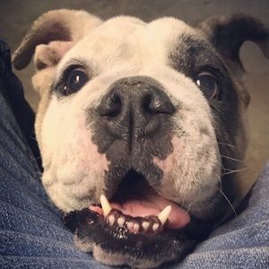 Meet your Posher, Alberto