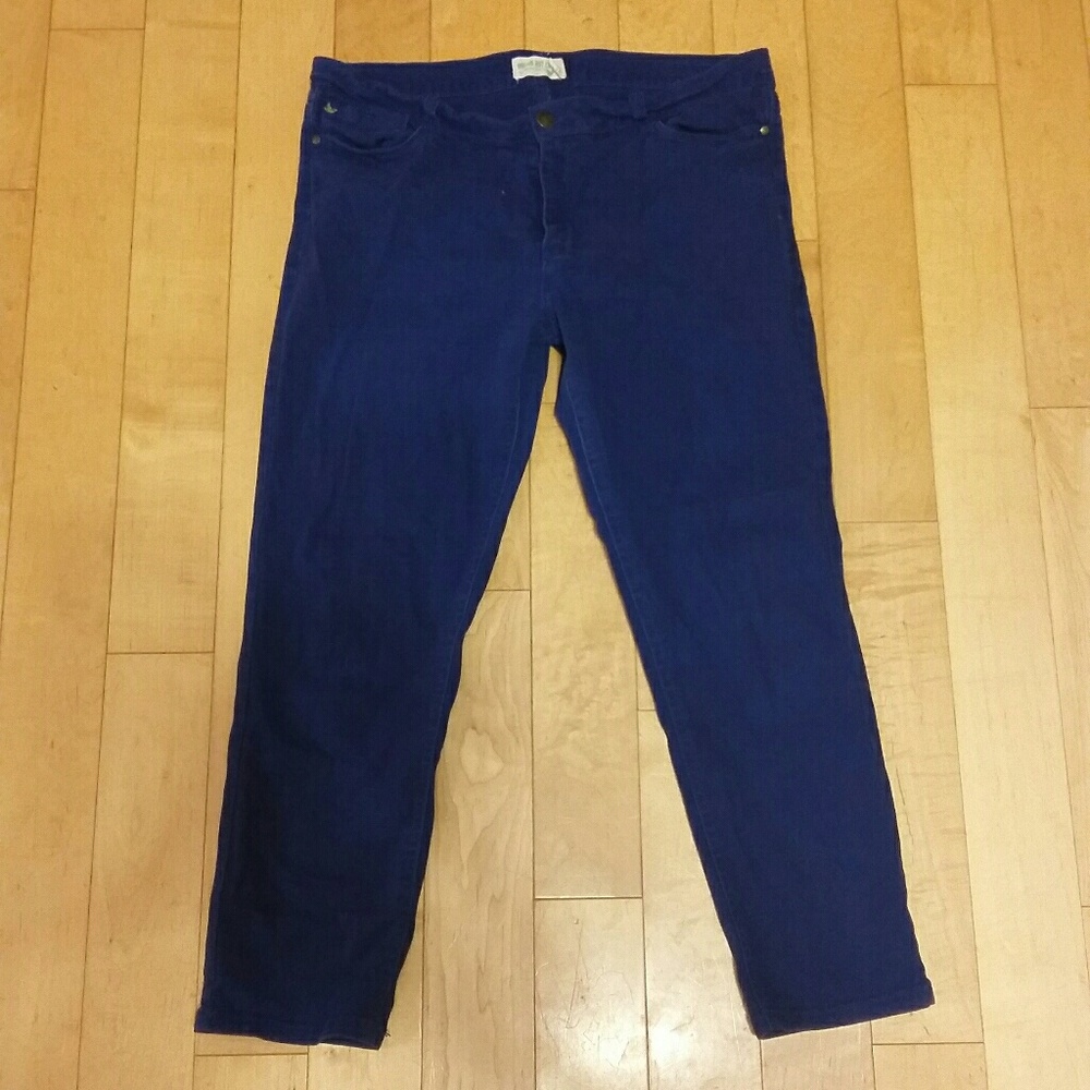 Blue cropped pants
