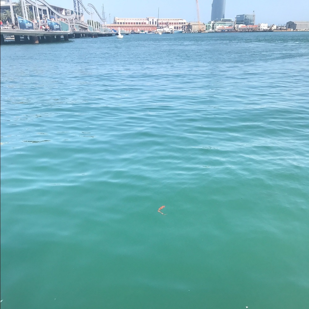 Meet your Posher, Sedona